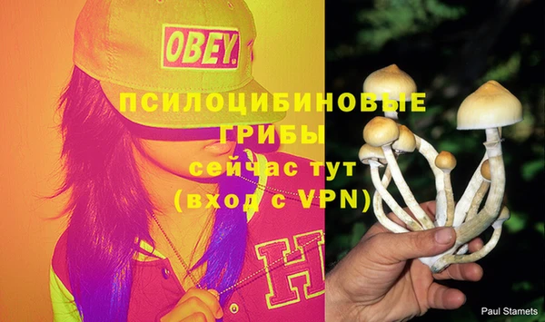 кокаин Дмитровск