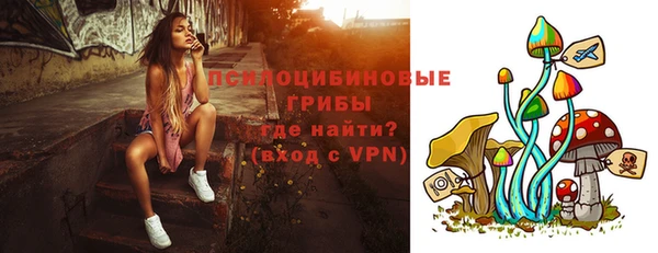 первитин Дмитриев