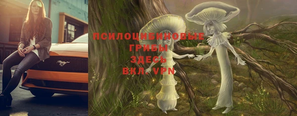 МДМА Дмитров